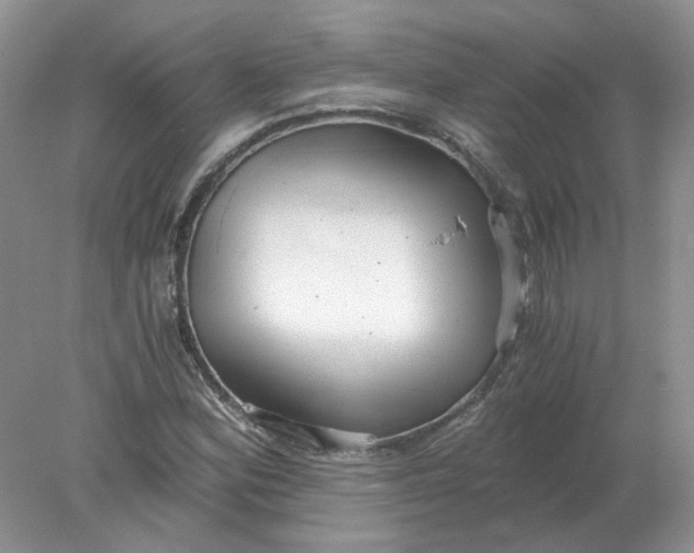 X0000078281164200611172049