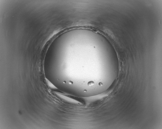 X0000078281165200611172049