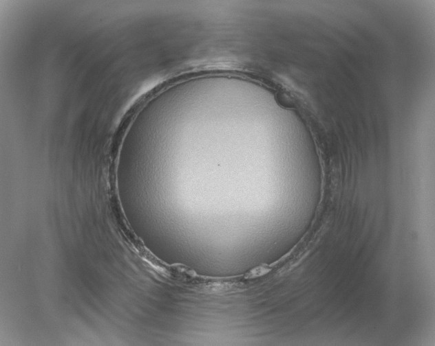 X0000078281166200611172049