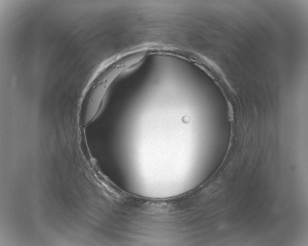 X0000078281168200611172049