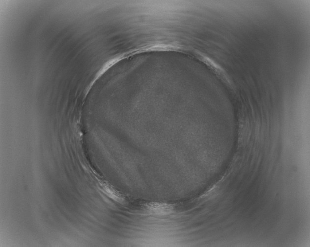 X0000078281170200611172049