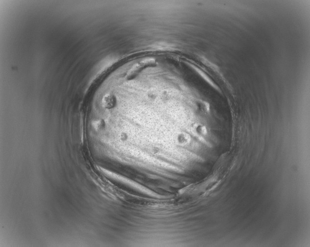 X0000078281171200611172049