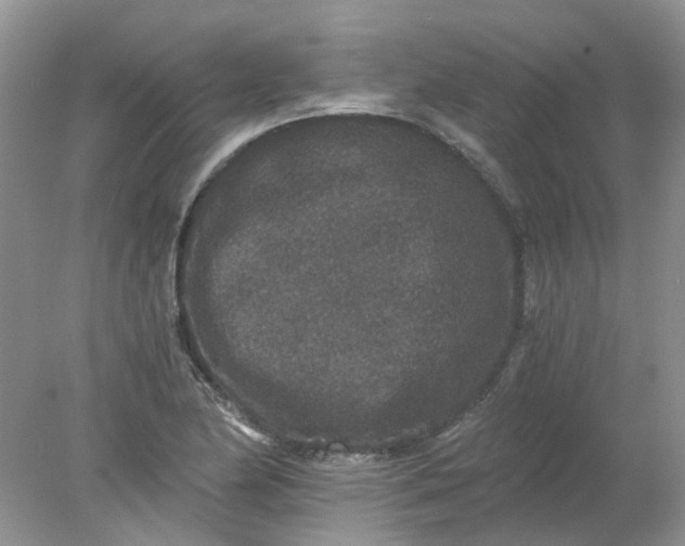 X0000078281174200611172049