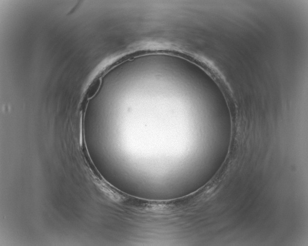 X0000078281175200611172049