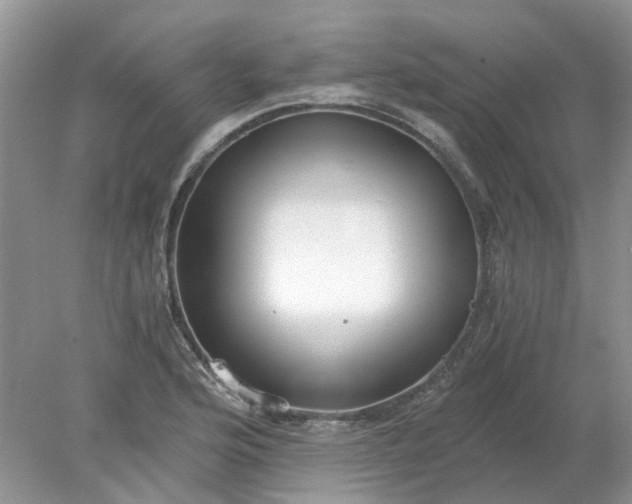 X0000078281176200611172049