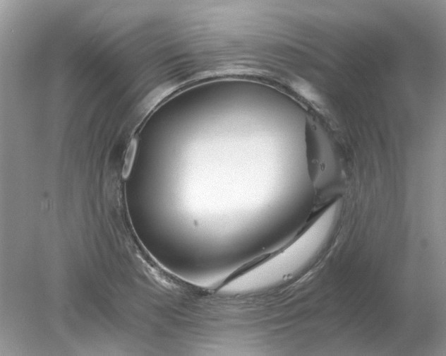 X0000078281177200611172049