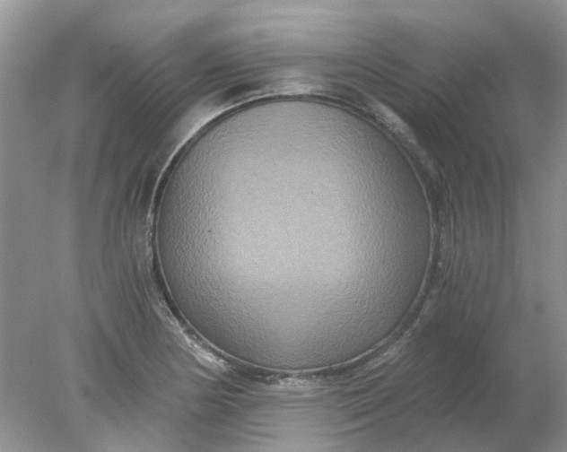 X0000078281178200611172049