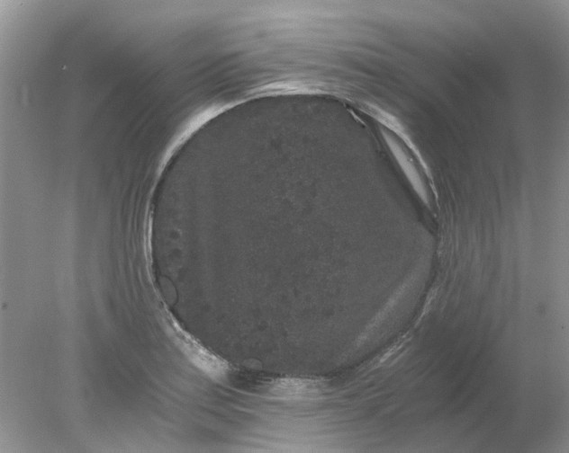 X0000078281179200611172049