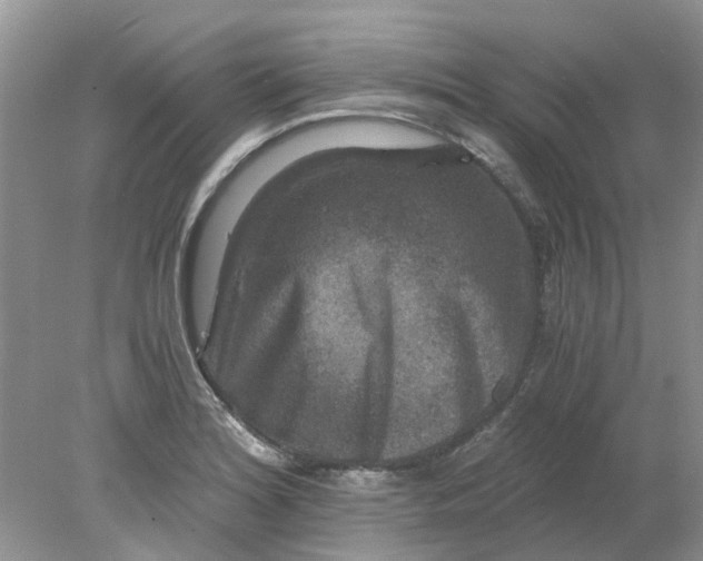 X0000078281180200611172049