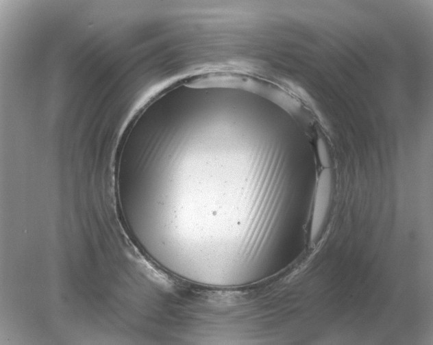 X0000078281184200611172048