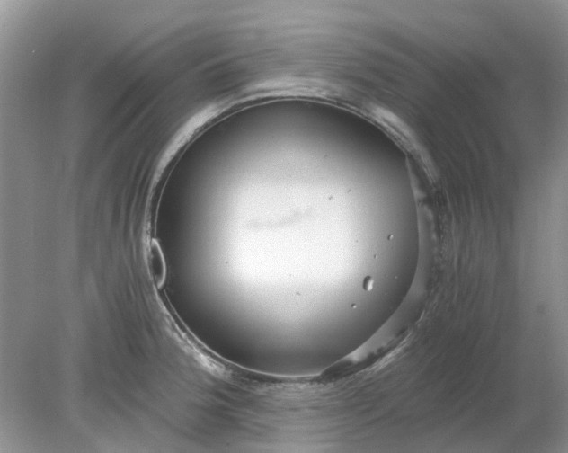 X0000078281188200611172048