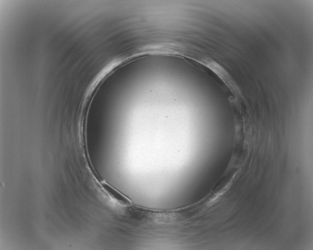 X0000078281196200611172048