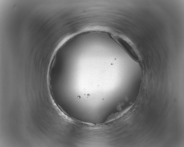 X0000078281199200611172048