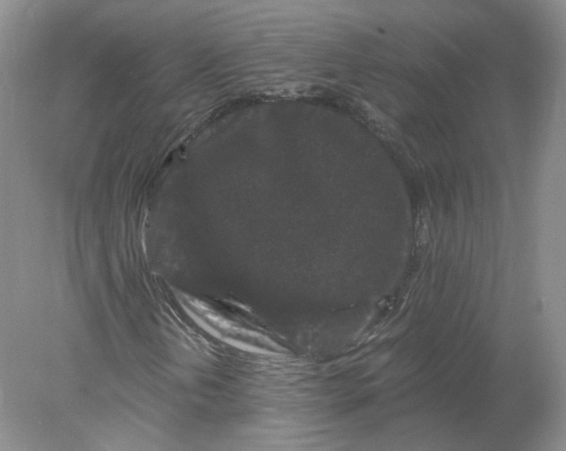 X0000078281202200611172047