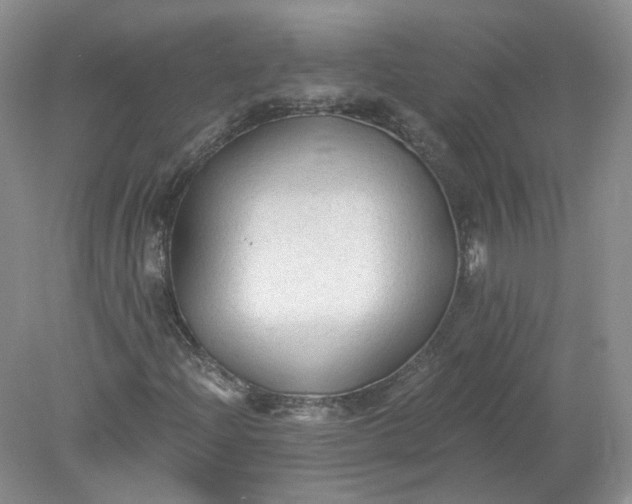 X0000078281204200611172047