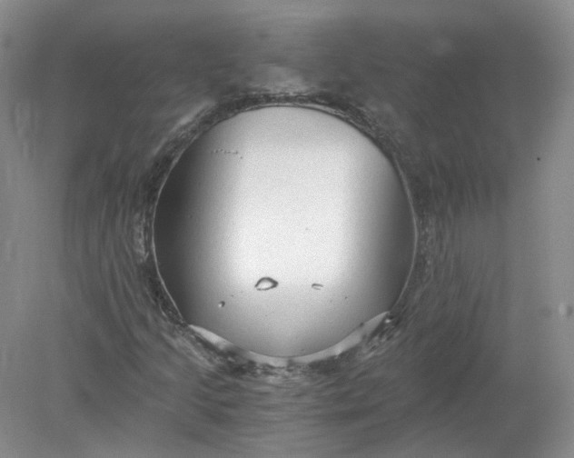 X0000078281205200611172047