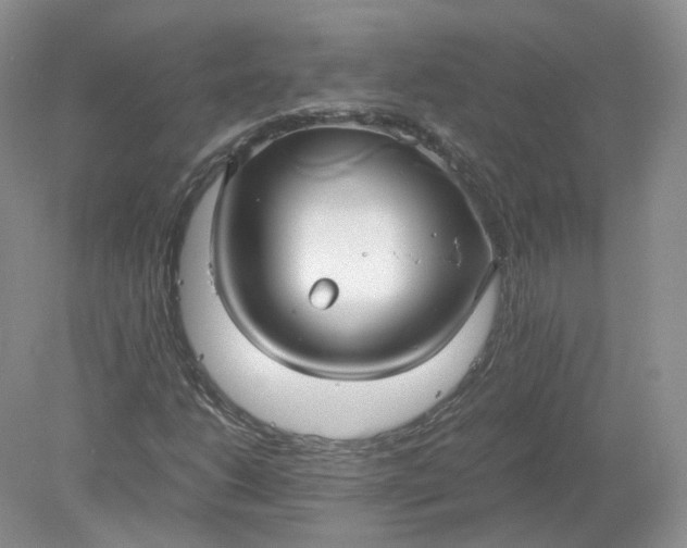 X0000078281206200611172047