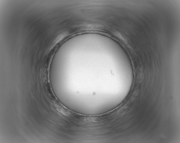 X0000078281211200611172048