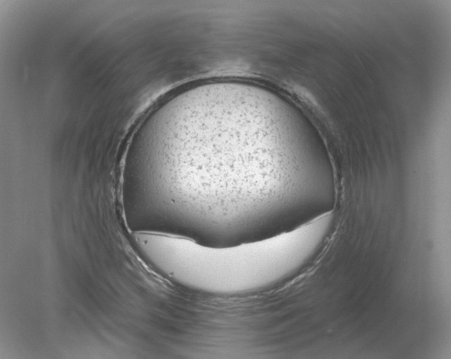 X0000078281212200611172048