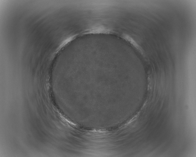 X0000078281213200611172048