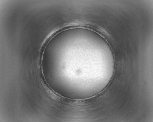 X0000078281216200611172048