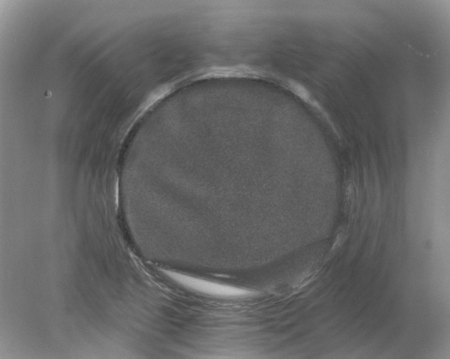 X0000078281221200611172048