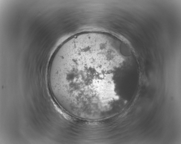 X0000078281231200611172048