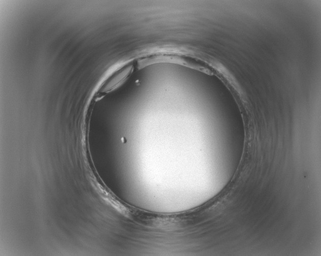 X0000078281232200611172048