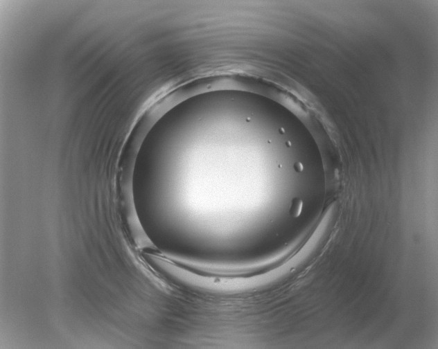 X0000078281234200611172048