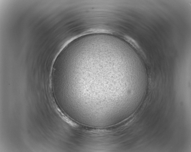 X0000078281236200611172048