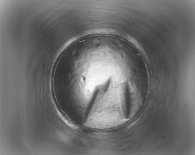 X0000078281237200611172048