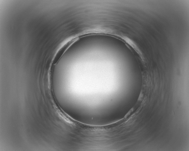 X0000078281238200611172048