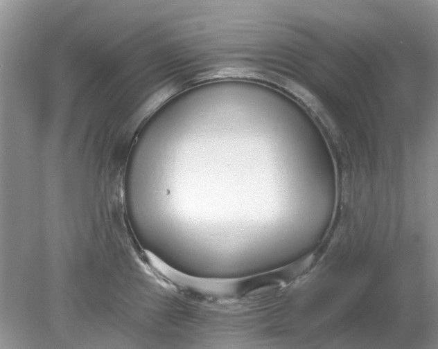 X0000078281241200611172048