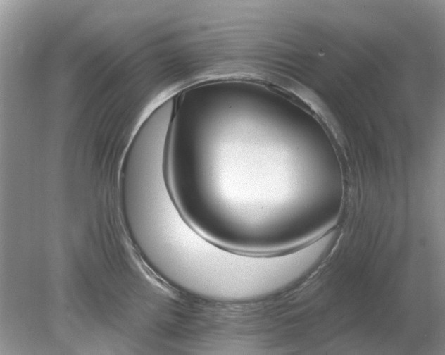 X0000078281242200611172048