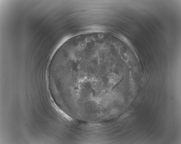 X0000078281243200611172048