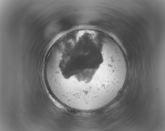 X0000078281245200611172048