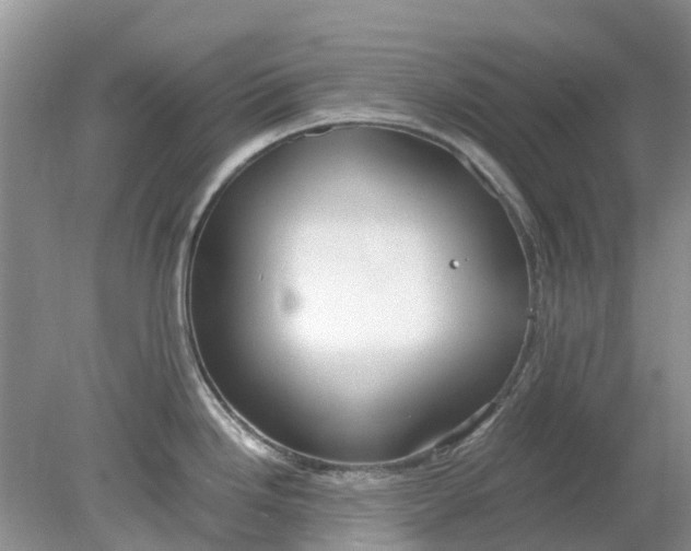 X0000078281246200611172048