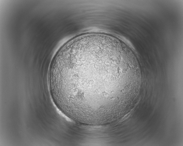 X0000078281247200611172048