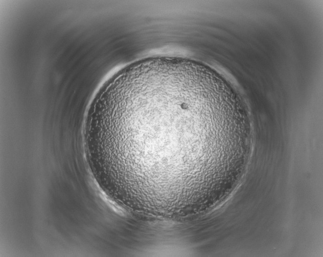 X0000078281248200611172048