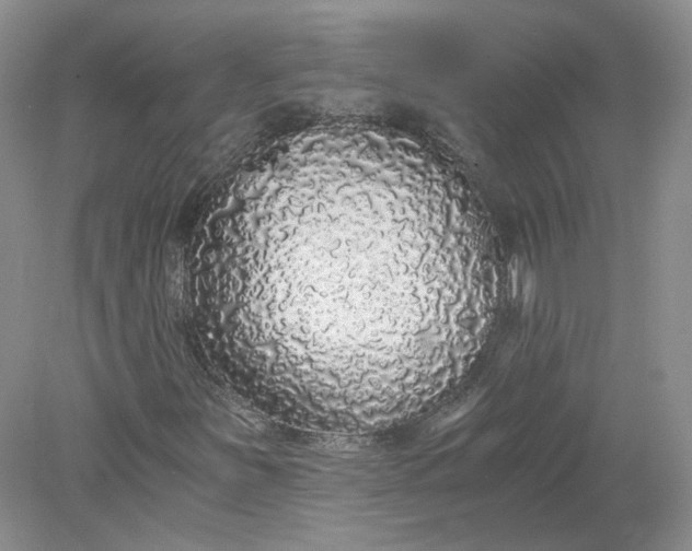 X0000078281251200611172047