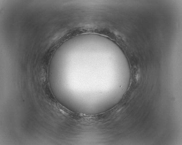 X0000078281253200611172047