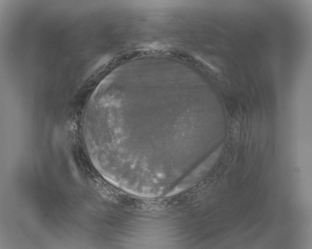 X0000078281254200611172047