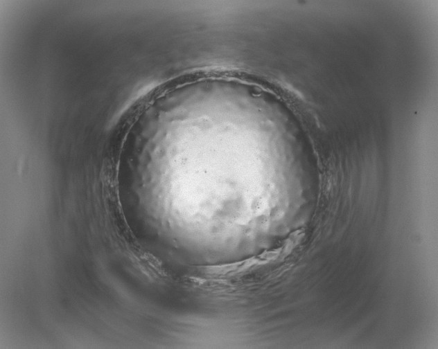 X0000078281255200611172047