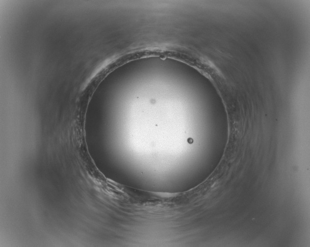 X0000078281256200611172047