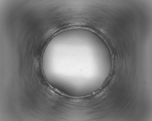 X0000078281257200611172047