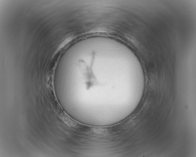 X0000078281258200611172047