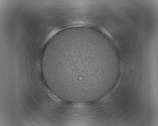 X0000078281259200611172047