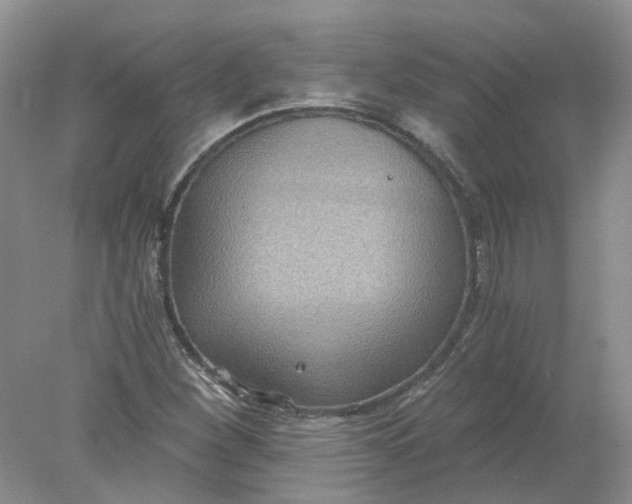 X0000078281260200611172047