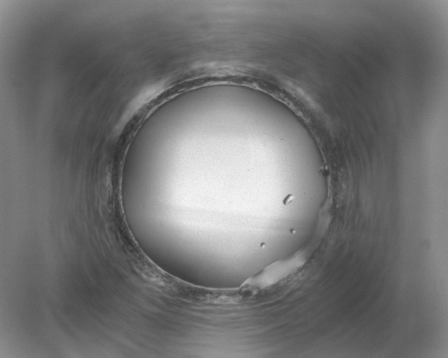 X0000078281261200611172047