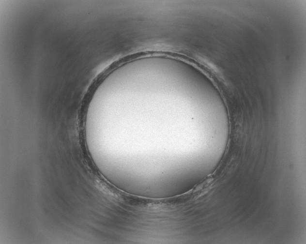 X0000078281264200611172047